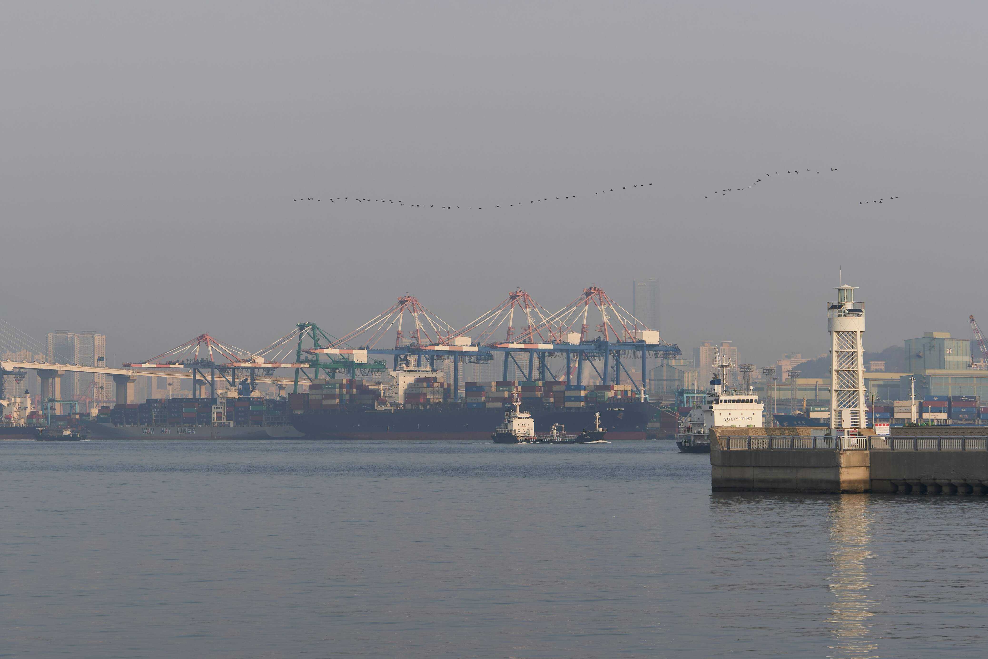 트럼프의 관세 정책