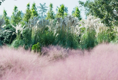 태안 청산수목원 여행지