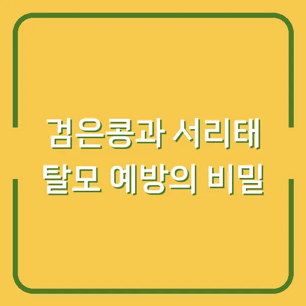 검은콩과 서리태 탈모 예방의 비밀
