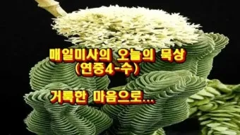 2025년 5월 15일 매일미사 부활 축제 묵상_24