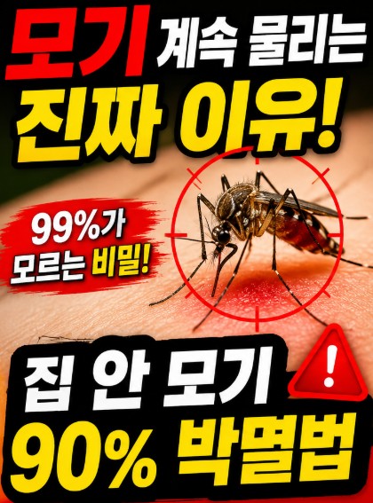 https://eli.noshameno1.com/99