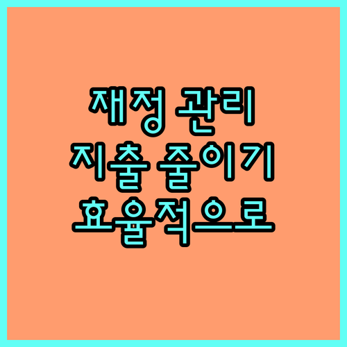 효율적인 재정 관리, 중복 지출 줄이