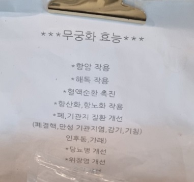 무궁화효능