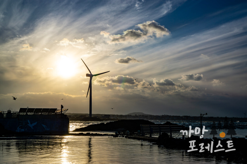 오저여
