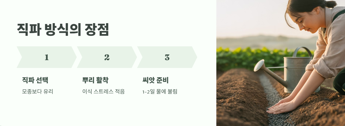 모종보단 직파