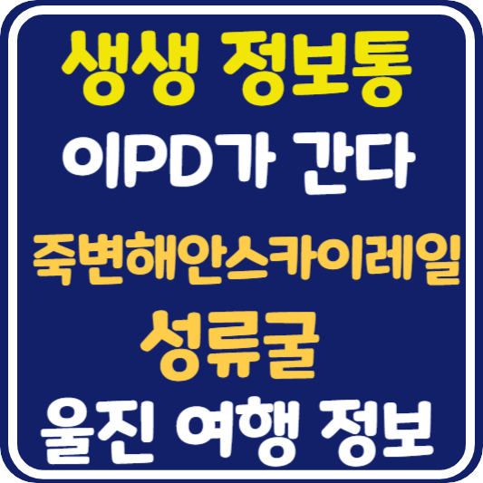 생생 정보통 울진 죽변해안스카이레일, 성류굴 정보 안내 : 이PD가 간다