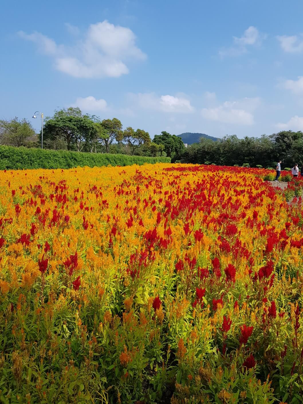 2025년 기초연금 신청방법 총정리 : 복지로