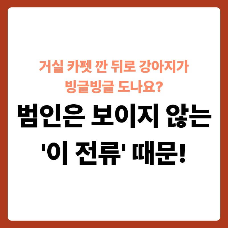 거실 나일론 카펫 매트 위에 서서 꼬리를 물려고 제자리를 불안하게 돌고 있는 강아지의 모습 옆으로, 털과 발바닥 패드 신경망이 투명한 3D 과학 그래픽으로 확대된 단면