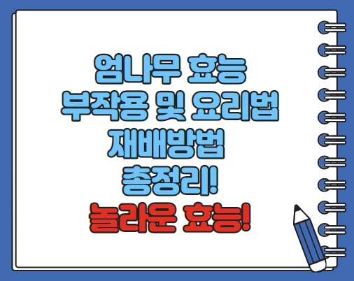 엄나무 효능 부작용 재배방법 총정리(최신)