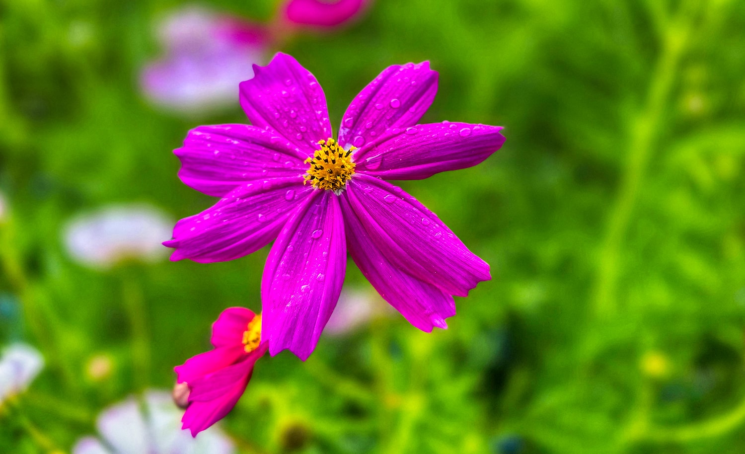 구리 한강공원- 14