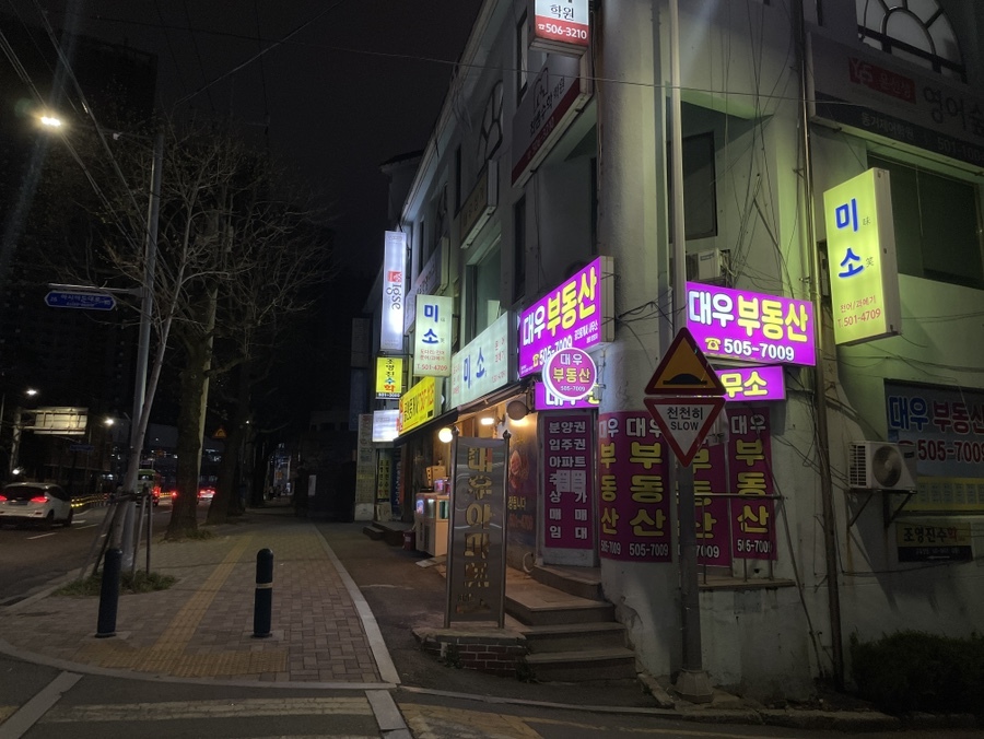 레이카운티임장