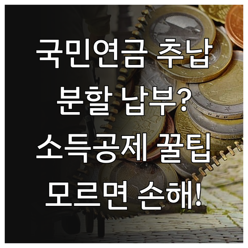 국민연금 추납 보험료 분할 납부 방법..