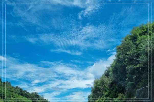 토지 재산세 납부 기간