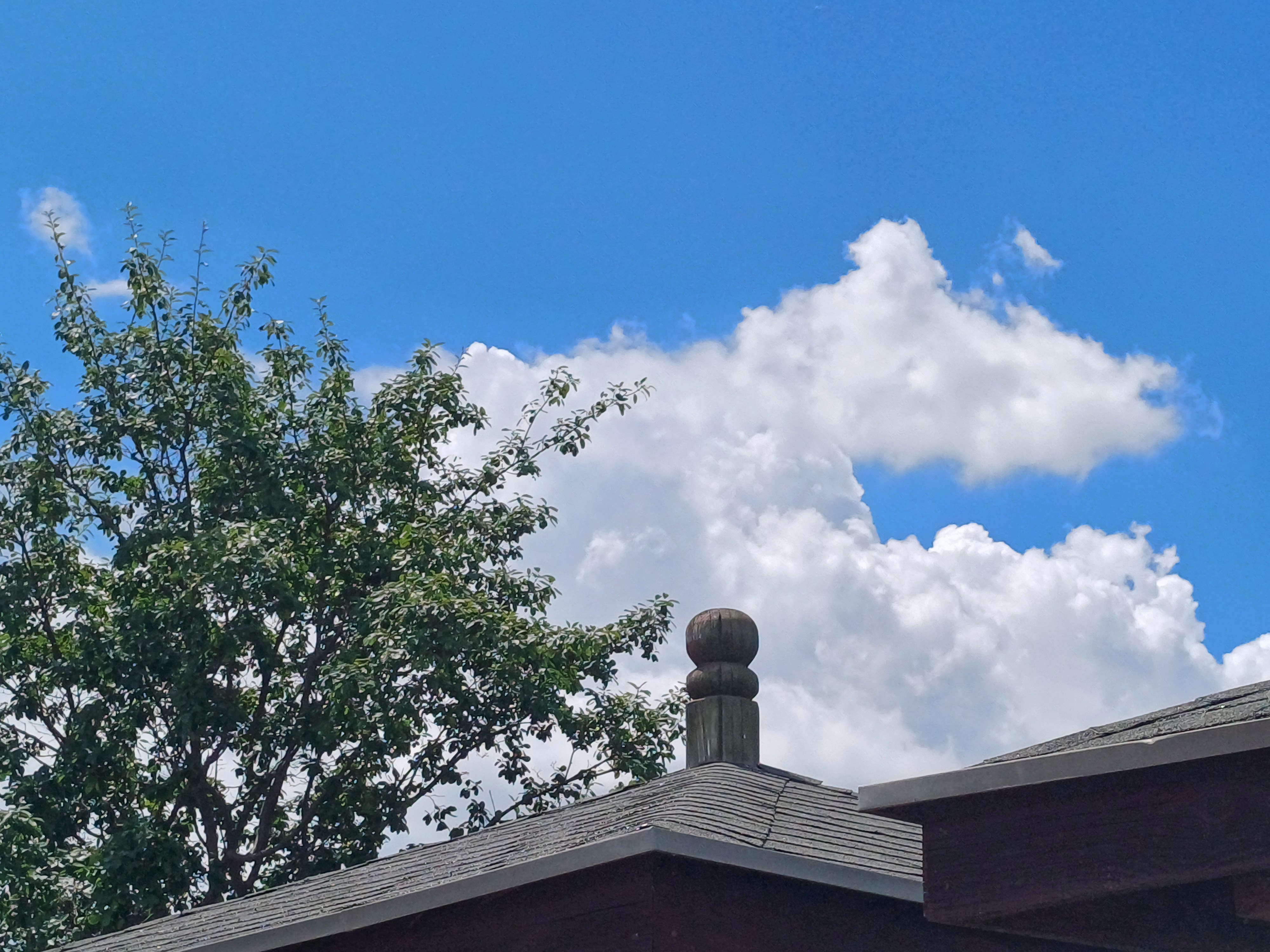 shelter&rsquo;s roof, nature, and the clear, beautiful sky