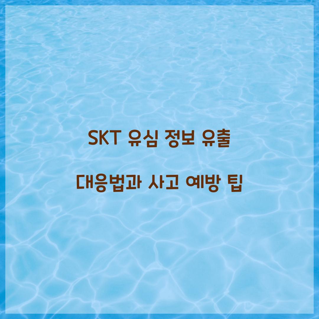 SKT 유심 정보 유출