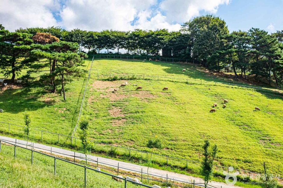 칠곡 가볼만한곳 베스트10