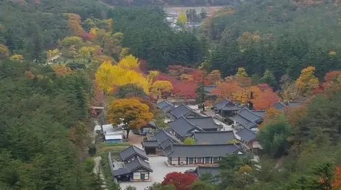 변산반도-부안-내소사-전나무길-단풍