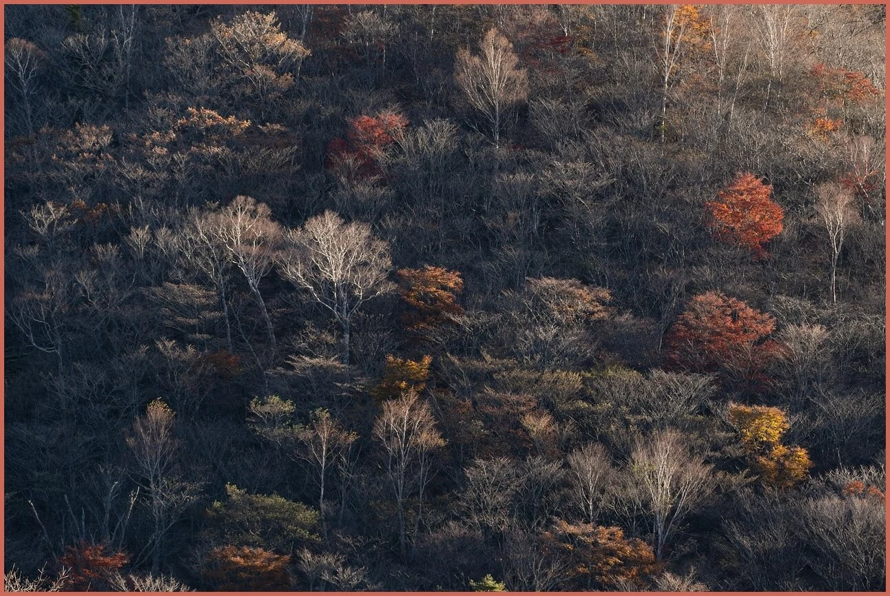 정기예금 금리 가장 높은곳