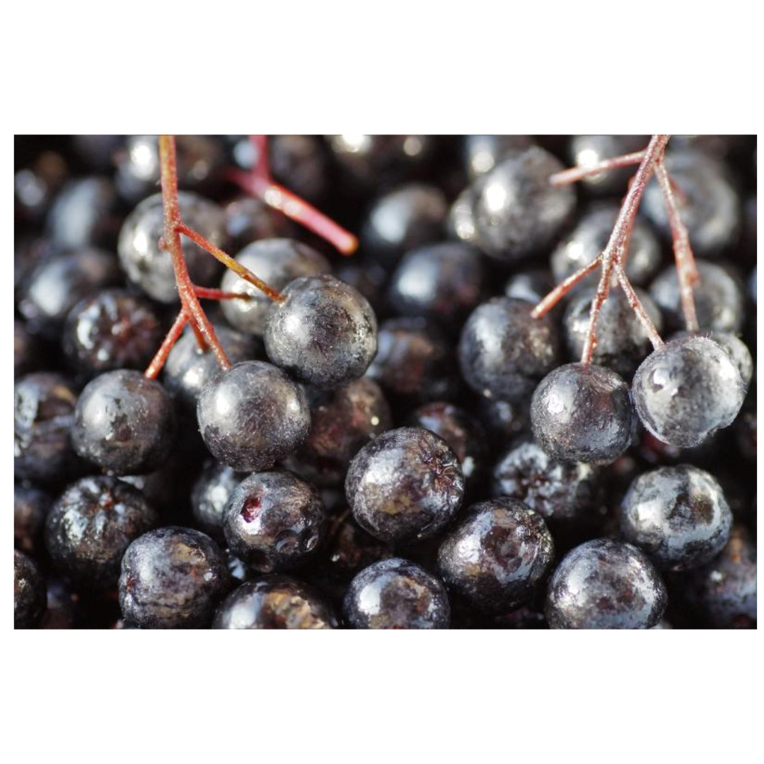 아로니아와 관련된 사진입니다.