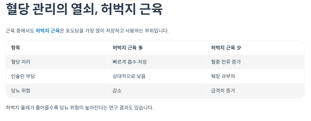 혈당 관리의 열쇠, 허벅지 근육