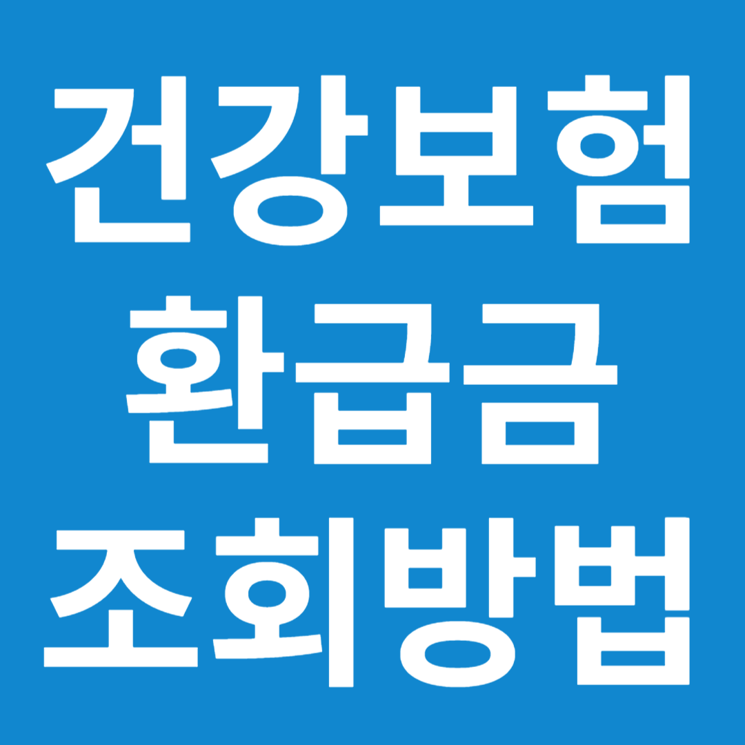 국민건강보험 환급금 조회