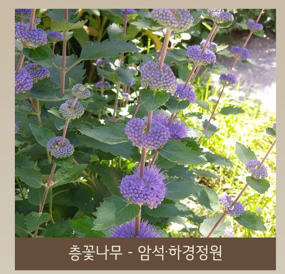 화담숲 화담채 예약 관련 이미지