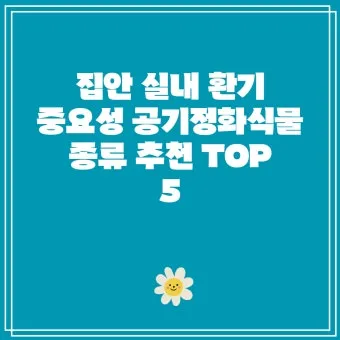실내화분 환기 요령 미세먼지 많은날 창문관리 공기청정기 병행 팁_6