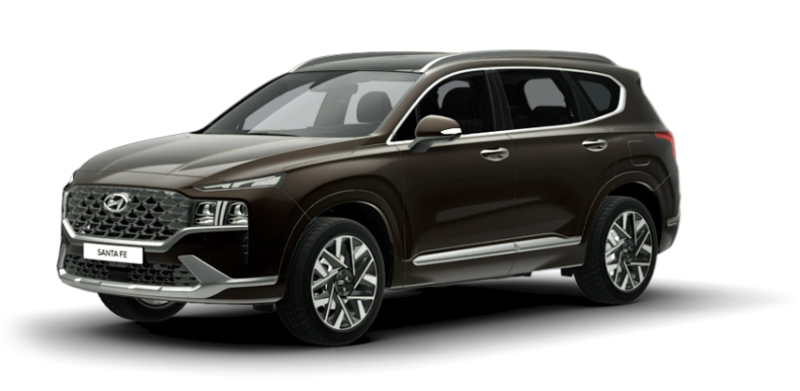 타이가 브라운 펄(색상 코드 : RN7)