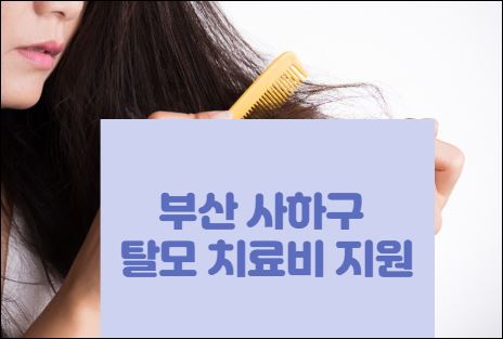 부산 사하구 탈모치료비 신청하기