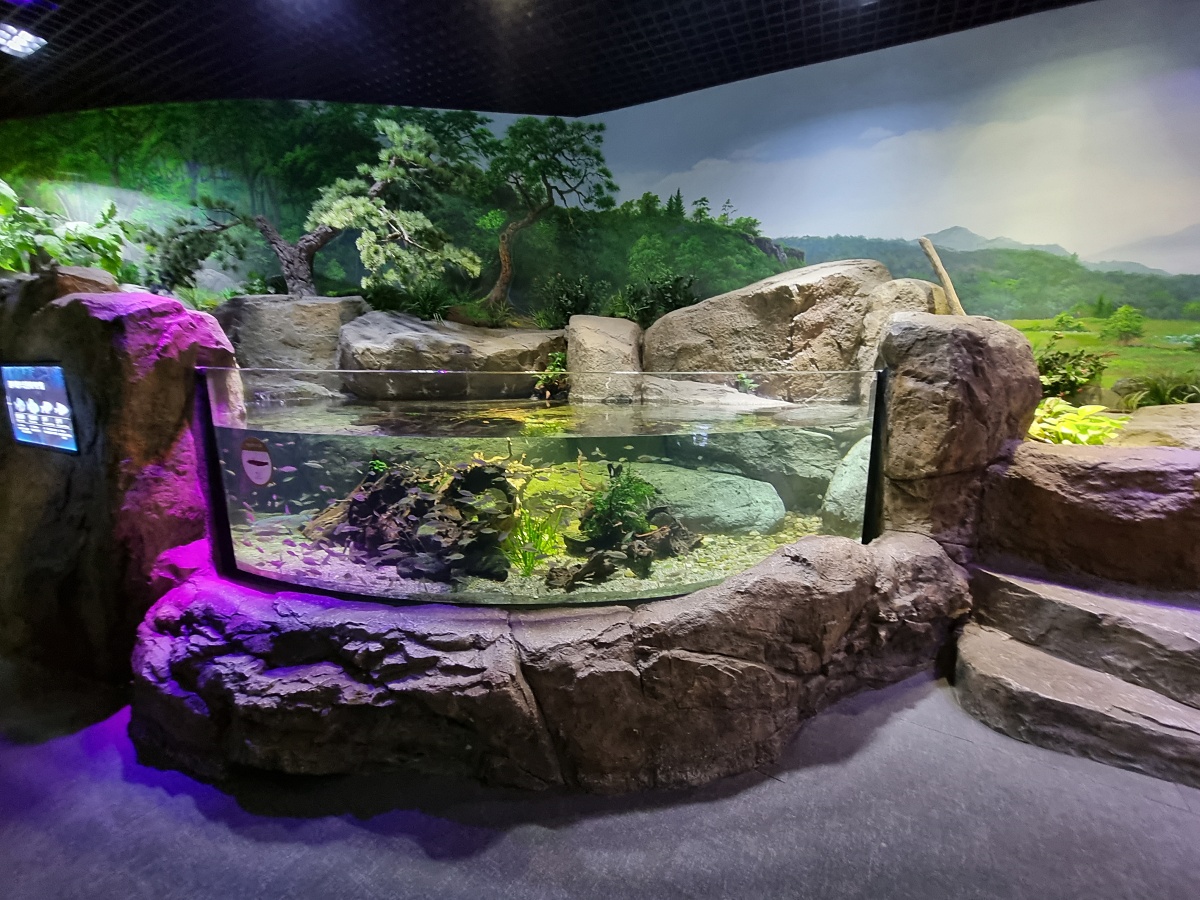 경기도 광주 곤지암 화담숲 단풍시즌, 가을 풍경 퍼레이드와 주변 맛집