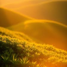 문체부영화할인권6천원할인30