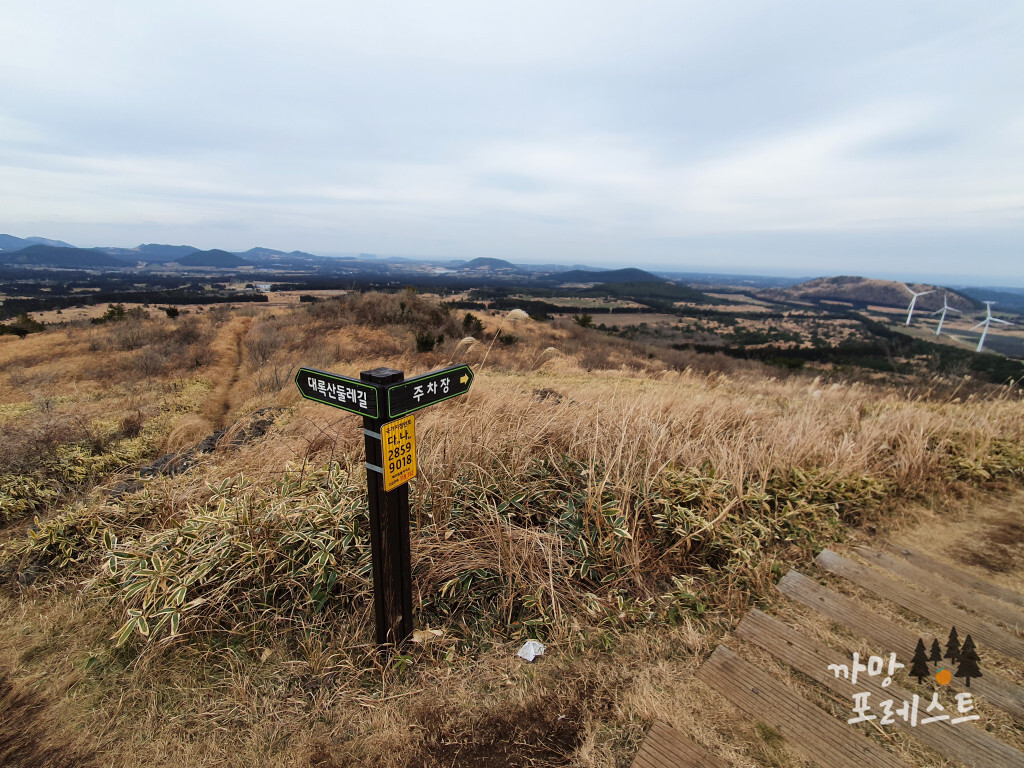 큰사슴이오름 갈림길