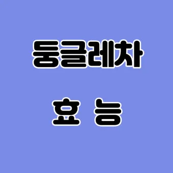 둥글레차 효과 건강에 좋은 차 효능 정리_18