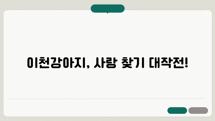 이천강아지보호소 컴투펫위탁보호센터 에서 알아봐요.