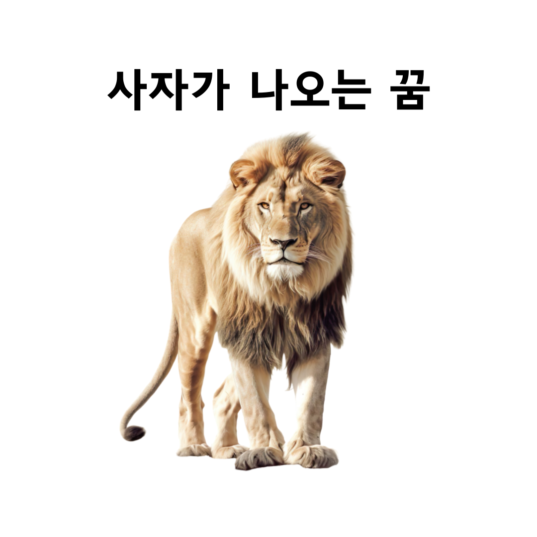 사자 꿈 해석