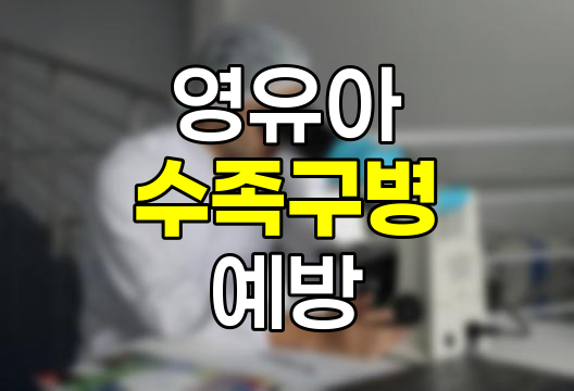영유아 수족구병, 증상, 원인, 예방 완벽 정리 관련 정보