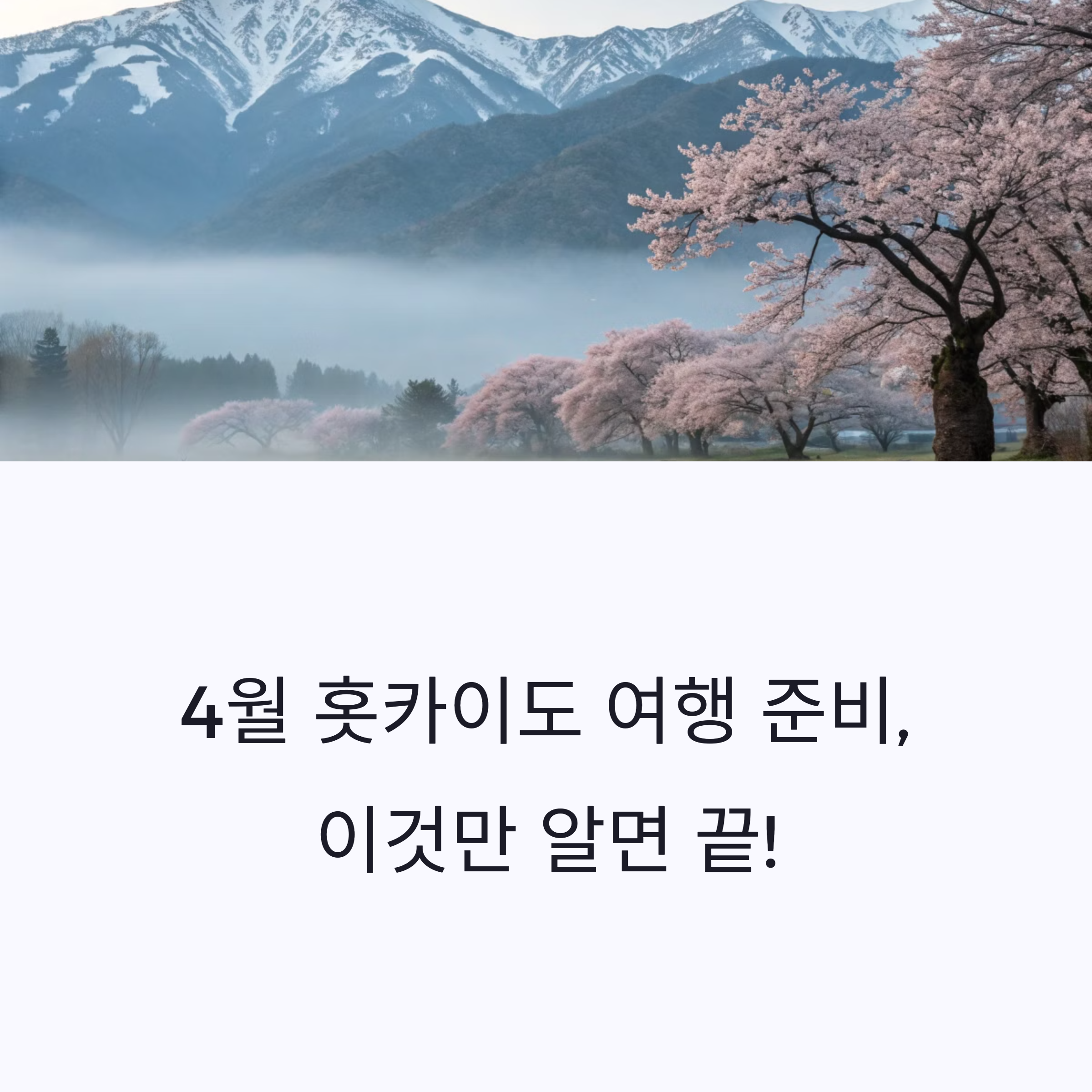 지금 떠나기 딱 좋은 북해도 4월 날씨와 비에이 투어