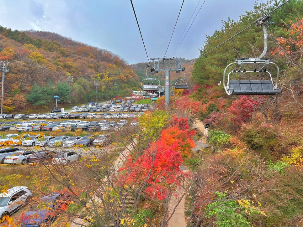 화담숲-예약-방법-2025년-최신-입장료-완벽-가이드