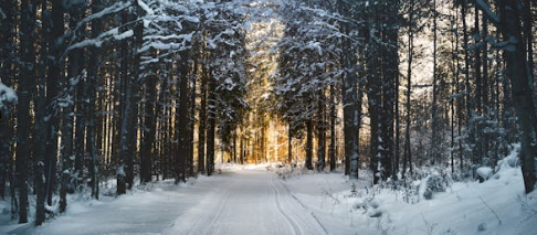 토지 분쟁의 핵심, &lsquo;분묘기지권&rsquo; 제대로 알고 계신가요?