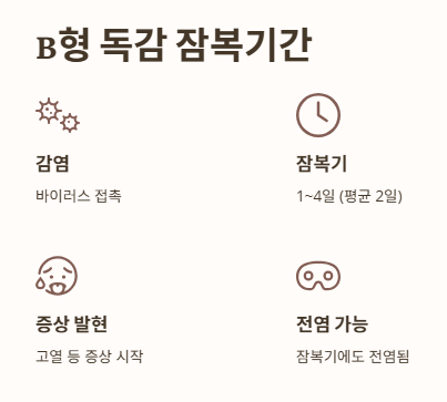 B형 독감 잠복기간