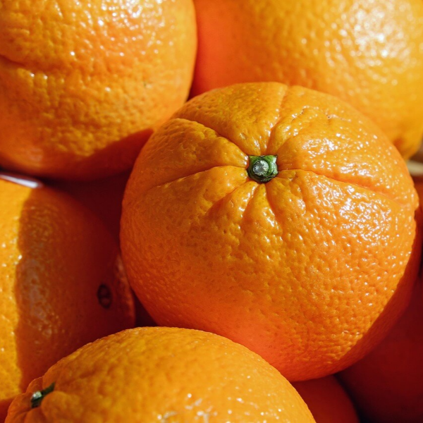 비타민c 효능 사진 26