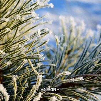 1월에 가볼만한 국내 여행지 