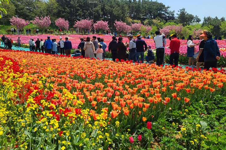 코리아플라워파크
