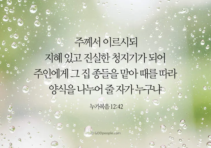 매일성경묵상(누가복음 12장 13-34절) 누가 네 인생의 주인이냐?_8