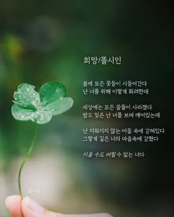 삶의 희망 관련 명언 100선_48