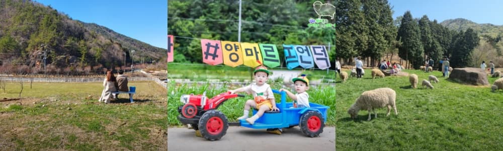 생생정보통 오늘방송(4월 10일) 다랭이마을,남해몽돌집1995,남해양떼목장 양마르뜨언덕,설리스카이워크,남해보물섬전망대,까사드발리풀빌라