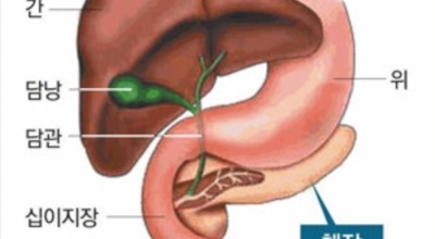 췌장에좋은음식이미지