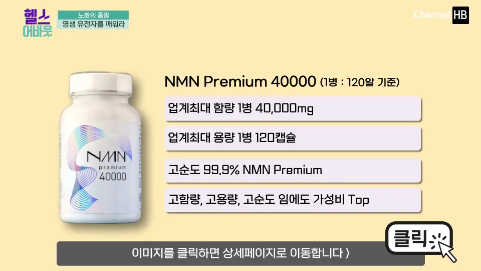 일본NMN36000