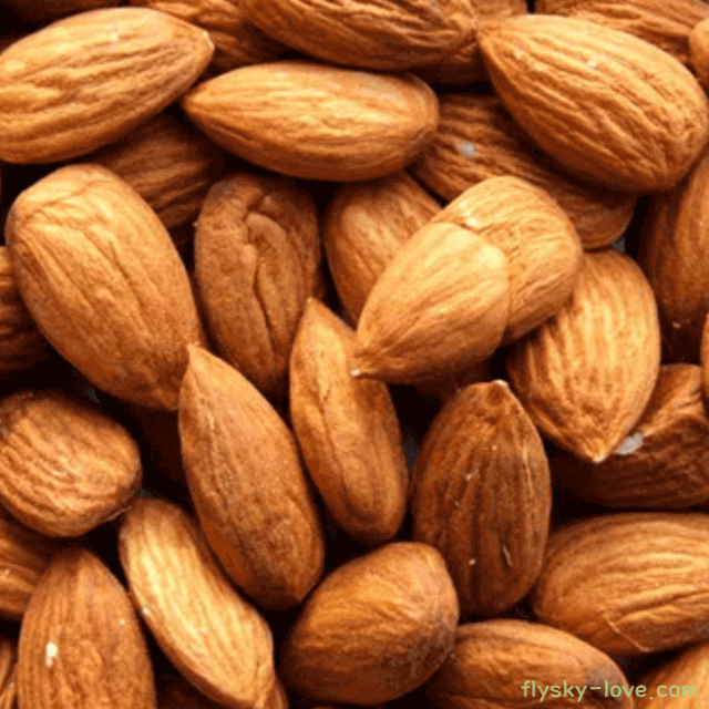 슈퍼푸드 아몬드