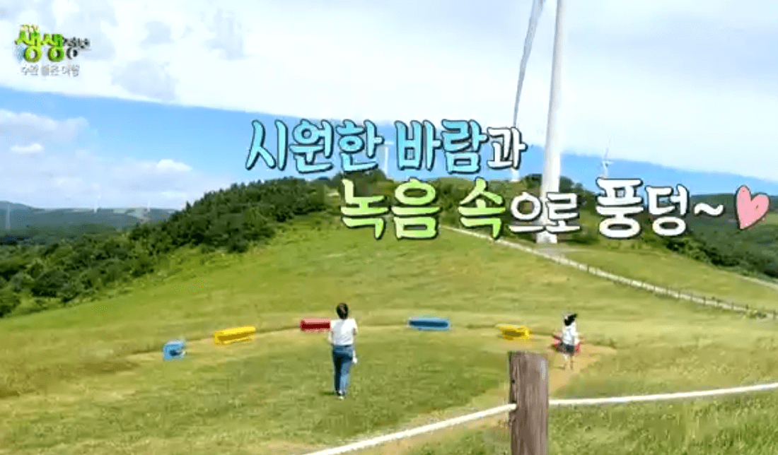 평창 가볼만한 곳 대관령 하늘목장